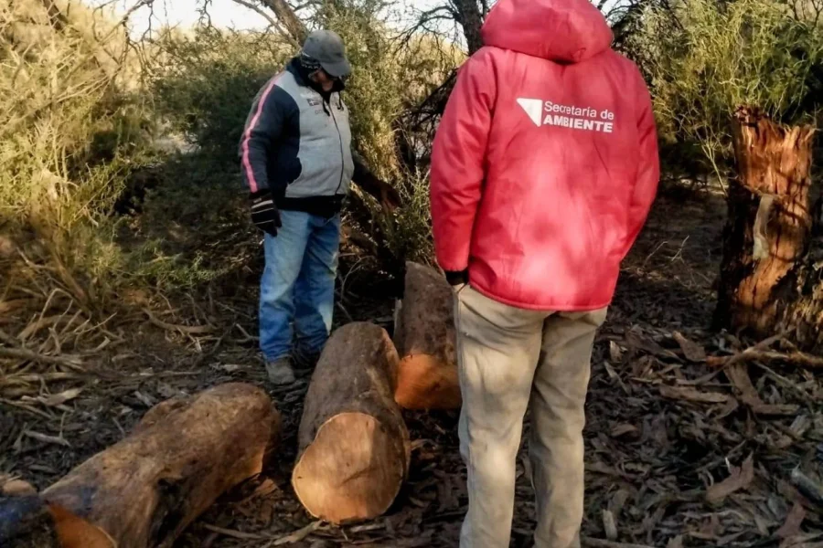  Inspeccionan campos para cuidar bosques nativos