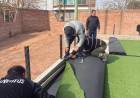 Avanza la obra del Polideportivo de Vichigasta con la colocación de césped sintético