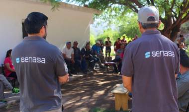 Detectan casos de rabia paresiante en Miranda
