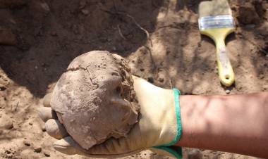  Encontraron restos óseos con más de 800 años de antigüedad en Chilecito