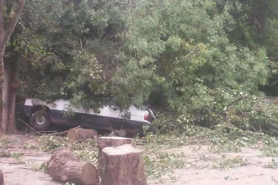   El viento zonda causó serios daños en Chilecito
