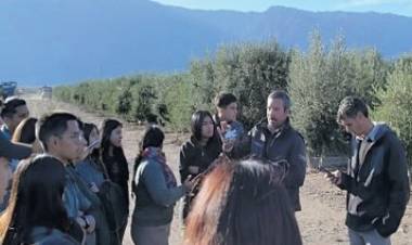  Chilecito: Estudiantes de 6° año harán prácticas profesionalizantes