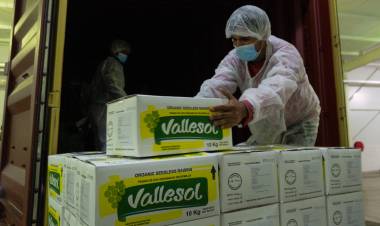 Vallesol exportó por primera vez a Inglaterra y suma un total de 12 países en su haber