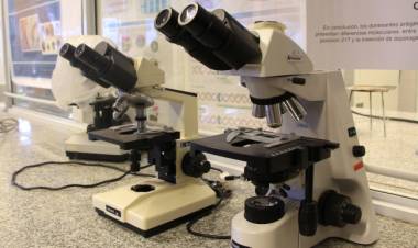  UNdeC invita al curso de Microscopía Óptica