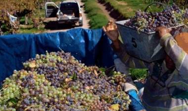  Vinos: La Rioja va a la conquista del mercado de Brasil