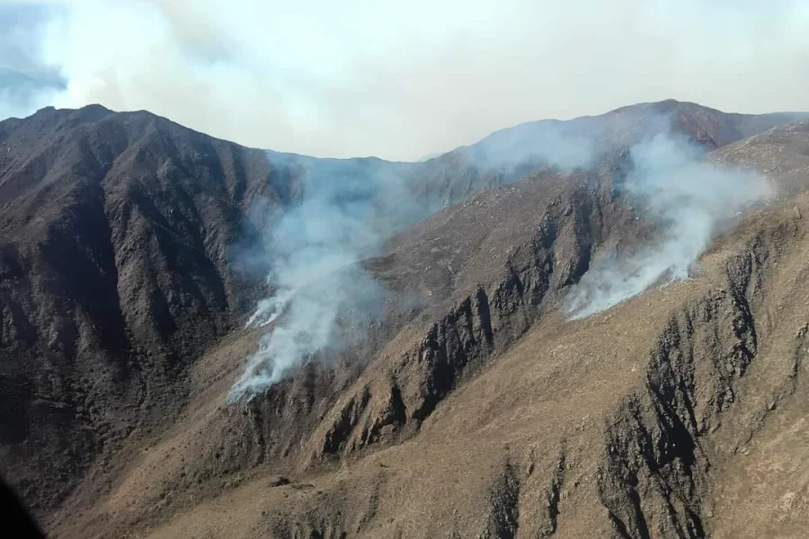  Alarma: avanza incendio forestal en el cerro