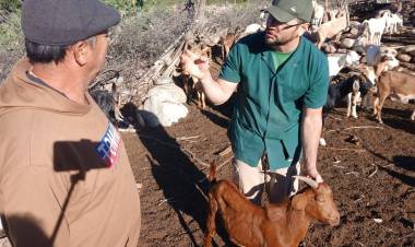 Trabajo en territorio por la salud animal