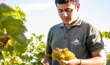 La UNdeC fortalece vínculos con el sector productivo para potenciar la formación de sus estudiantes