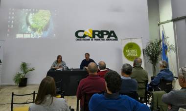 Referentes vitivinícolas analizaron la crisis del sector y debatieron acciones para fortalecer el Torrontés Riojano