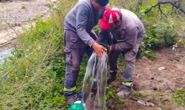 La Provincia realiza trabajos sobre un sistema que abastece de agua a tres distritos rurales de General Belgrano