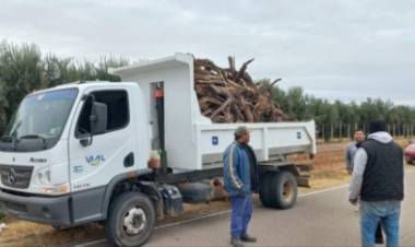 Investigan un presunto hurto de leña en una finca privada al pie del Velasco