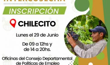 Abren las inscripciones para el Programa Intercosecha 2026 en Chilecito, Nonogasta y Vichigasta