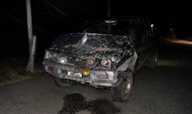 Famatina: una camioneta chocó con un caballo en la Ruta 78