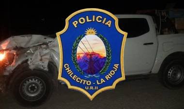 Siniestro vial en Ruta Nacional 40 dejó daños materiales tras el impacto con un equino