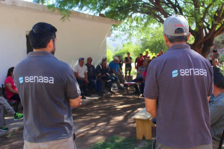 Detectan casos de rabia paresiante en Miranda