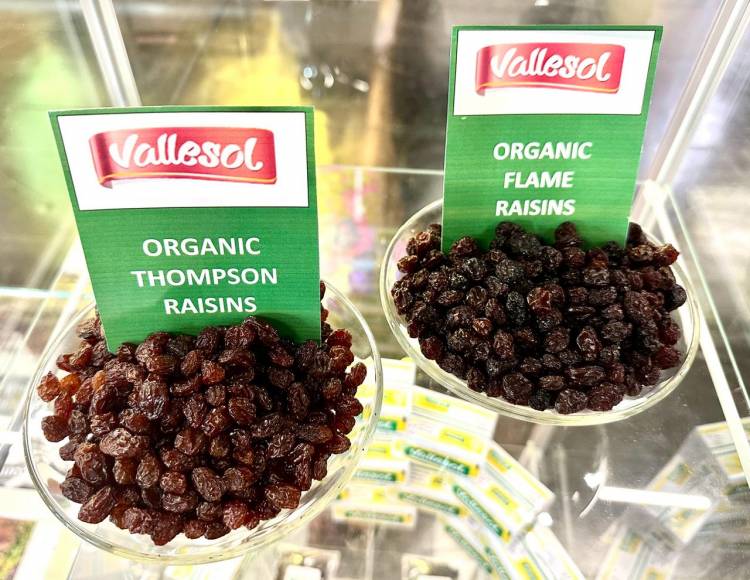 Vallesol presente en Alemania: Destacada participación de la empresa riojana en BIOFACH 2024