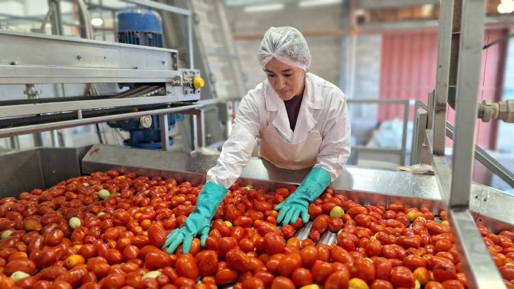 Agroandina alcanzó en abril el mismo récord de cosecha logrado en 2023