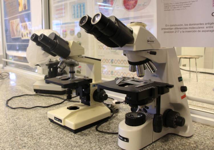 UNdeC invita al curso de Microscopía Óptica