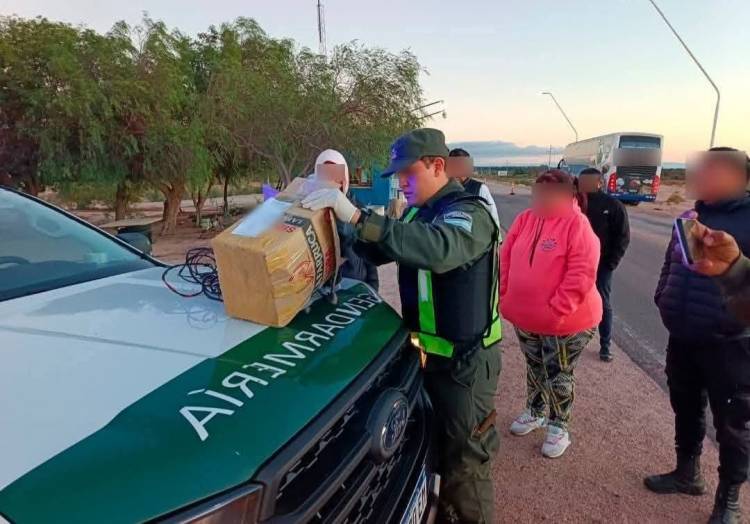 Detectan sustancia ilegal oculta en una encomienda durante control en Arauco
