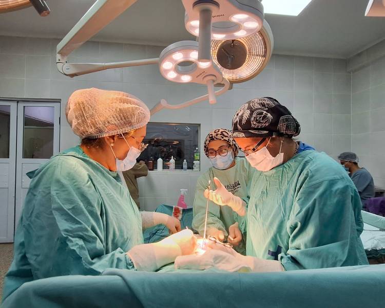 Ginecología y Quirófano articulados para una cirugía de alta complejidad en Chilecito