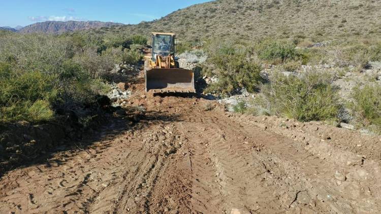 Vialidad Provincial consolida tareas de mantenimiento en todo el territorio provincial