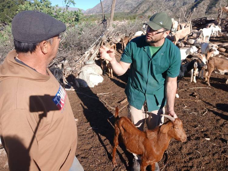 Trabajo en territorio por la salud animal