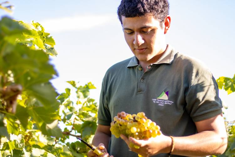 La UNdeC fortalece vínculos con el sector productivo para potenciar la formación de sus estudiantes