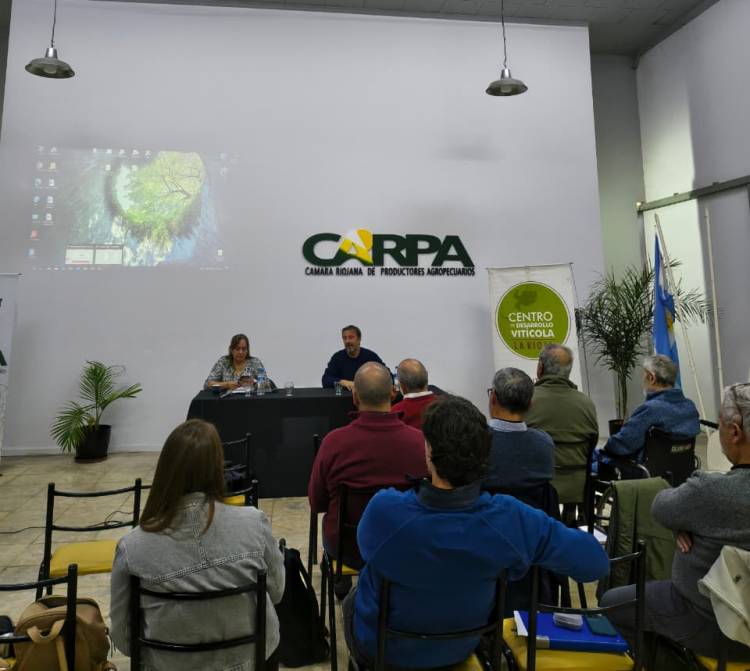 Referentes vitivinícolas analizaron la crisis del sector y debatieron acciones para fortalecer el Torrontés Riojano