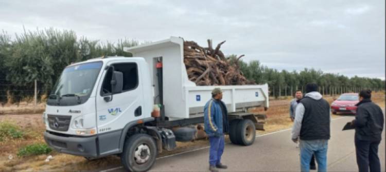 Investigan un presunto hurto de leña en una finca privada al pie del Velasco