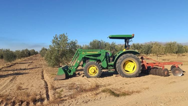 Realizan tareas de desmalezado y limpieza en el monte frutal de la EEA Chilecito