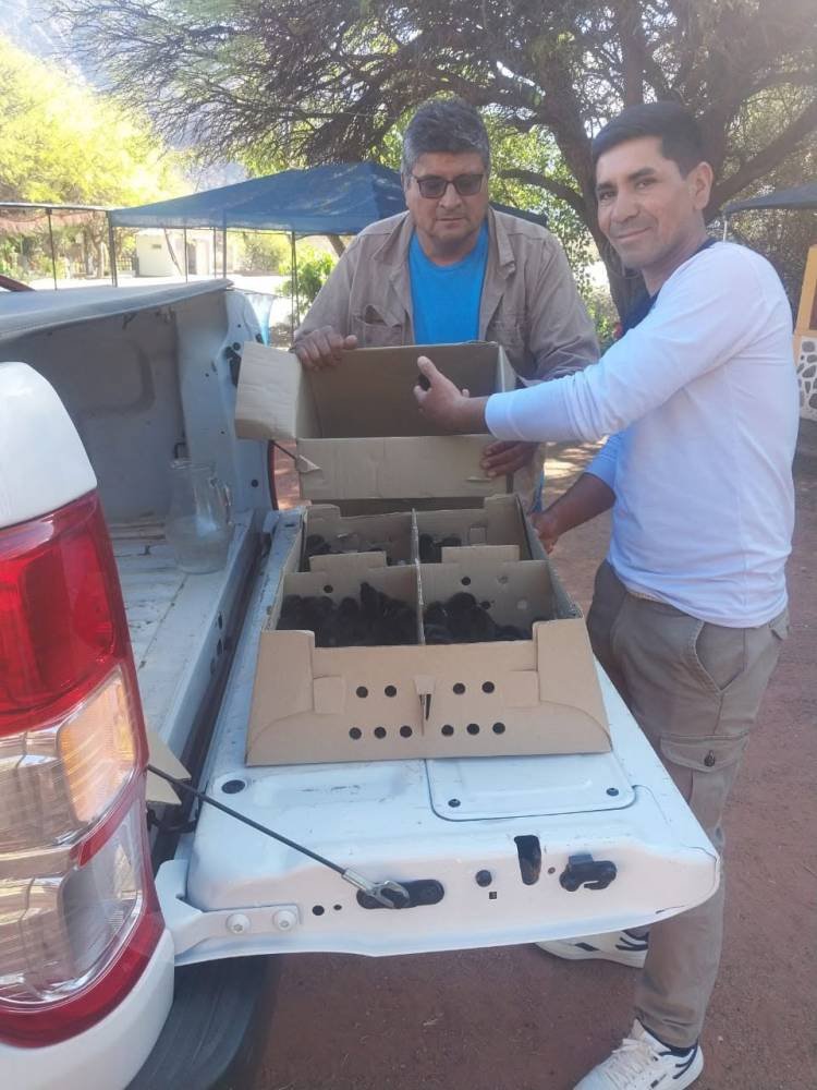 Veterinaria Municipal brinda asistencia sanitaria a productores del departamento